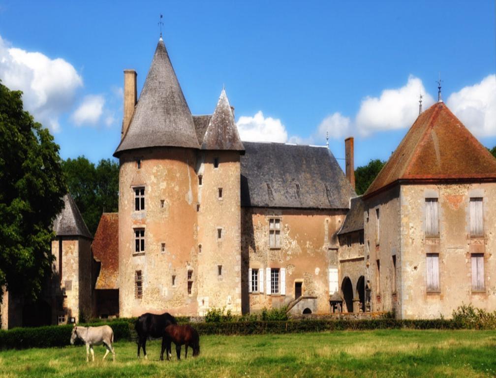 Château du Max Le Theil (Allier) Exterior foto